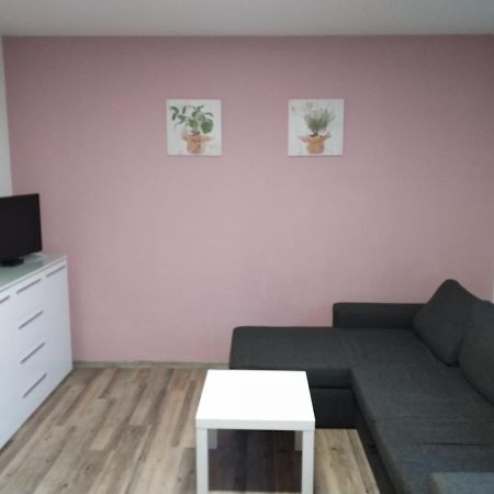 Apartmany Kovadlina 4 フリンブルク エクステリア 写真